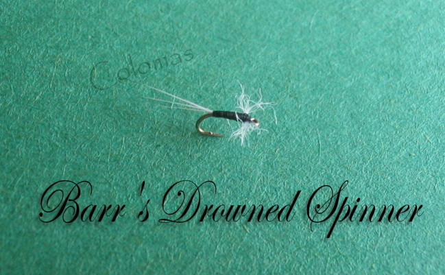Barr's Drowned Spinner