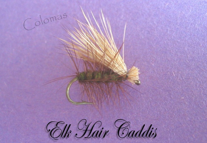 Elk Hair Caddis