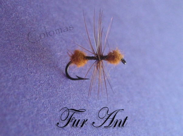 Fur Ant