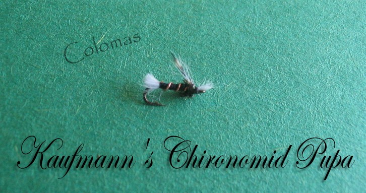Kaufmann's Chironomid Pupa