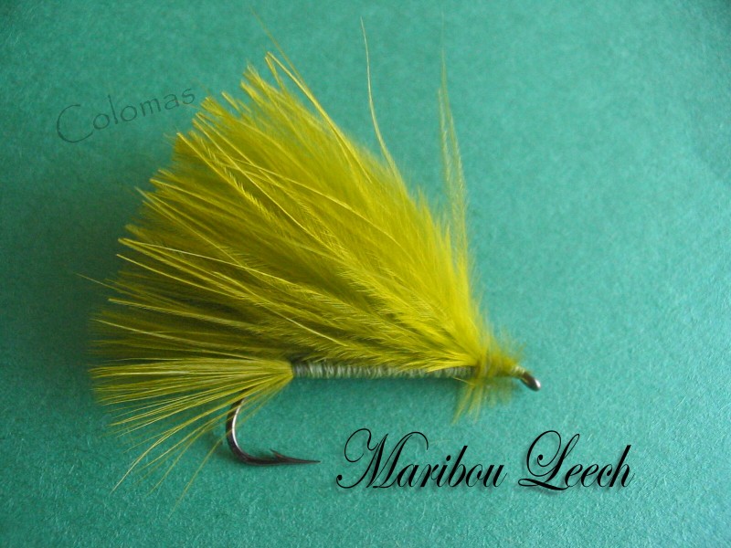 Marabou Leech