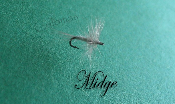 Midge