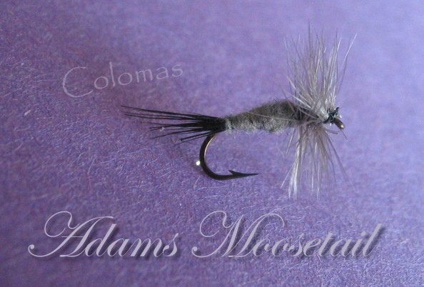 Adams Moosetail