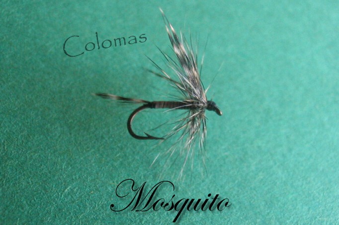 Mosquito