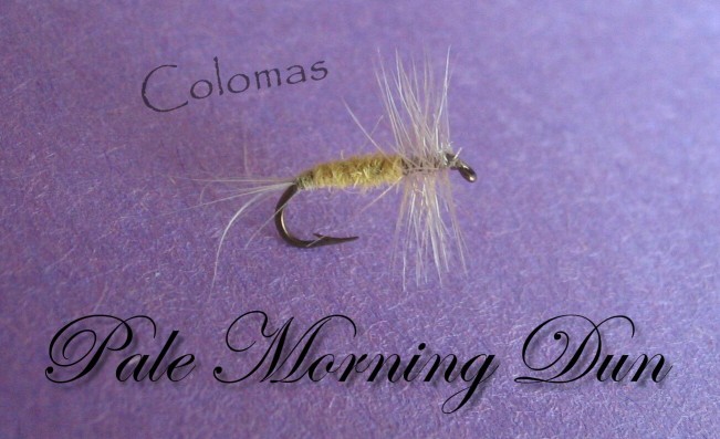 Pale Morning Dun