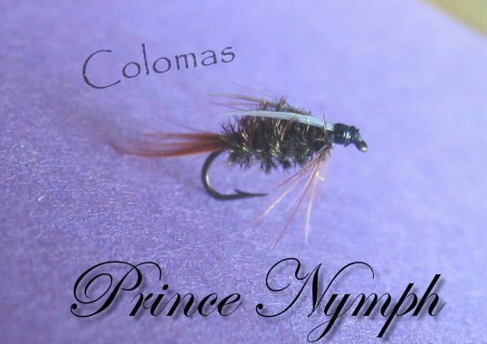Prince Nymph