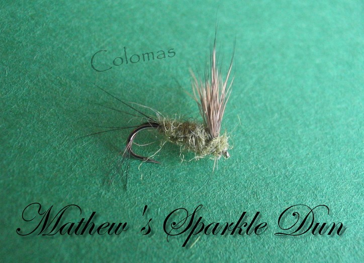 Mathew's Sparkle Dun