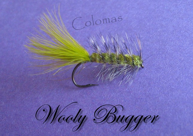 Wooly Bugger