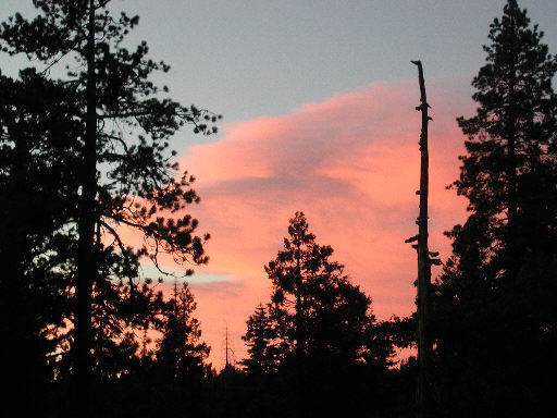 sunsetcover2.jpg