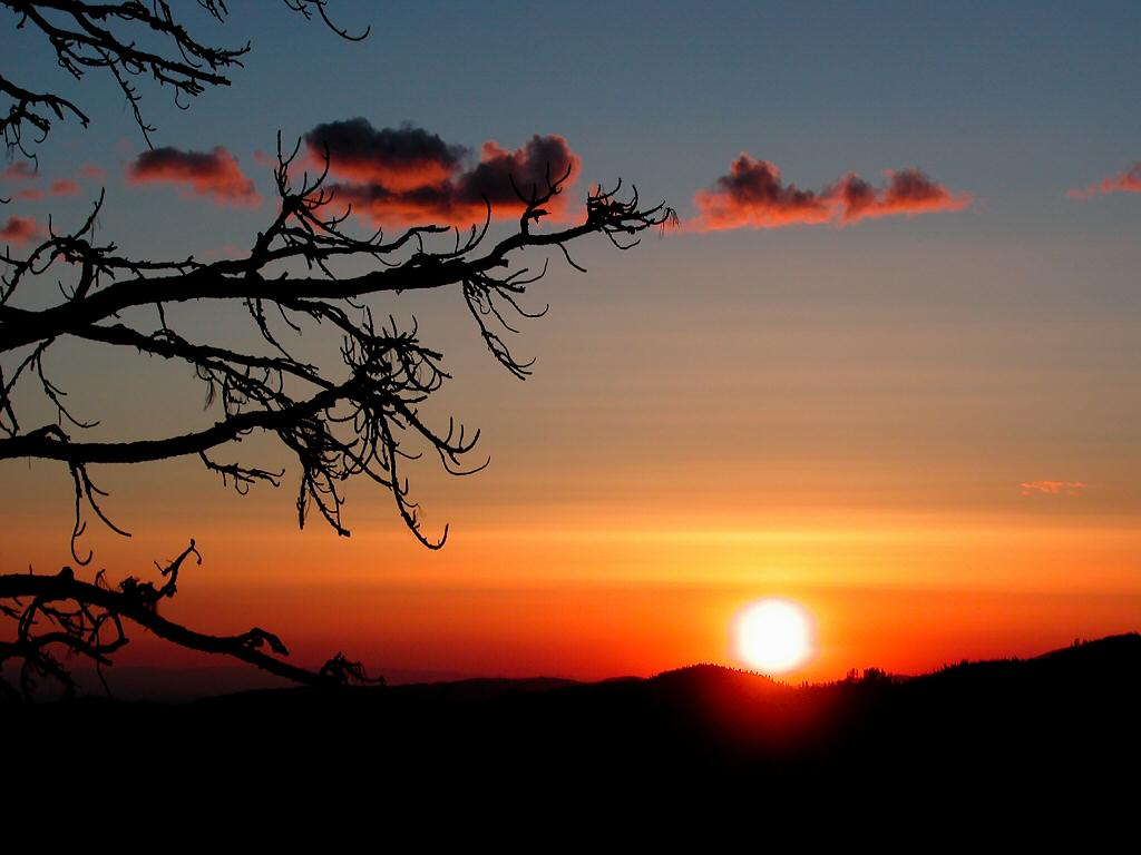 sunsetcover3.jpg