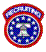 patch button