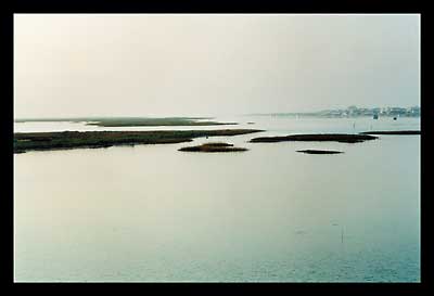Ria Formosa, Algarve, Portugal
