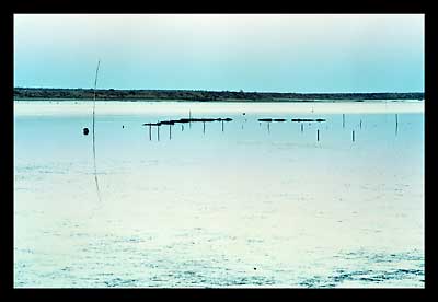 Ria Formosa, Algarve, Portugal