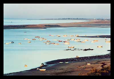 Ria Formosa, Algarve, Portugal