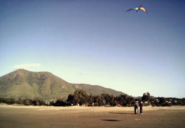 flying kites: the national spring pastime.