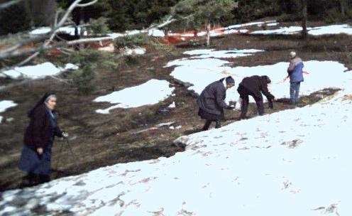 The snowball fight, before I got into the middle of it.