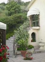 villa sales in italy - italian real estate