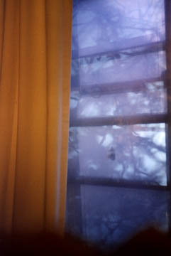 bedroom window