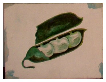 Lima Beans