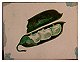 Lima Beans