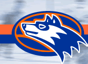 Huskies logo