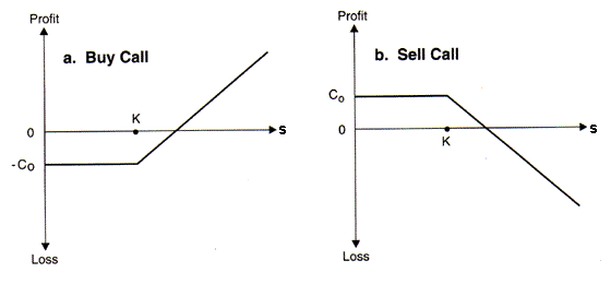 exercise value of a put option bankruptcy