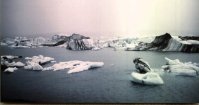 Jokulsarlon