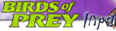 link to another site