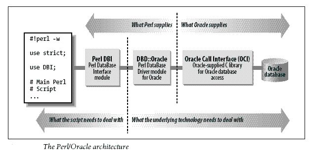 Perl/Oracle Architecture