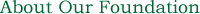 About Our Foundation