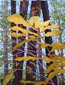 'Sunlight on leaves'
click to view enlargement


Gicles are available in any proportion of the original

Size and price refer to the original