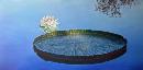 Click to view
Water Lily Oil Paintings