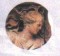 Demeter