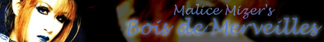 Bois de Merveilles banner