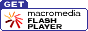 get flash 4 player