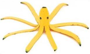 yay! it's a 'banana pussy'