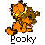 Pooky