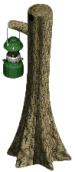 Lantern hanging from a tree