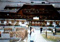 titisee009a_hotel