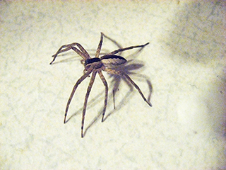 scene-3-thumbnail