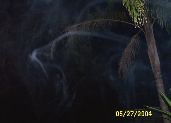 ectoplasm