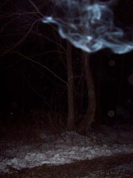 Orbs4U 90_1 Ectoplasm