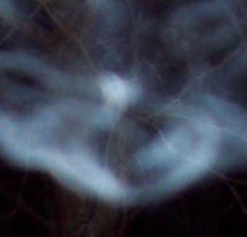 Orbs4U 90_3 Ectoplasm