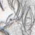 Aya crying, but I cant' remember from which fanfic...