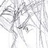 a new sketch of Maedhros, I actually like the hair