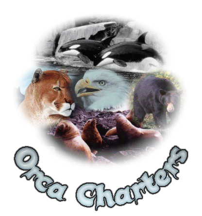 Orca Charters