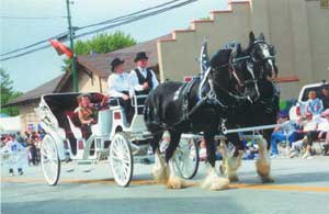 Our carriage being pulled by Alex and Maude