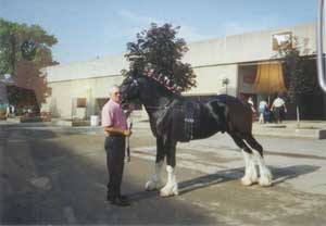 Forthofer's Master Maurus