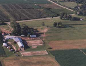 View of the Farm