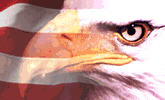 Ordeal of Liberty